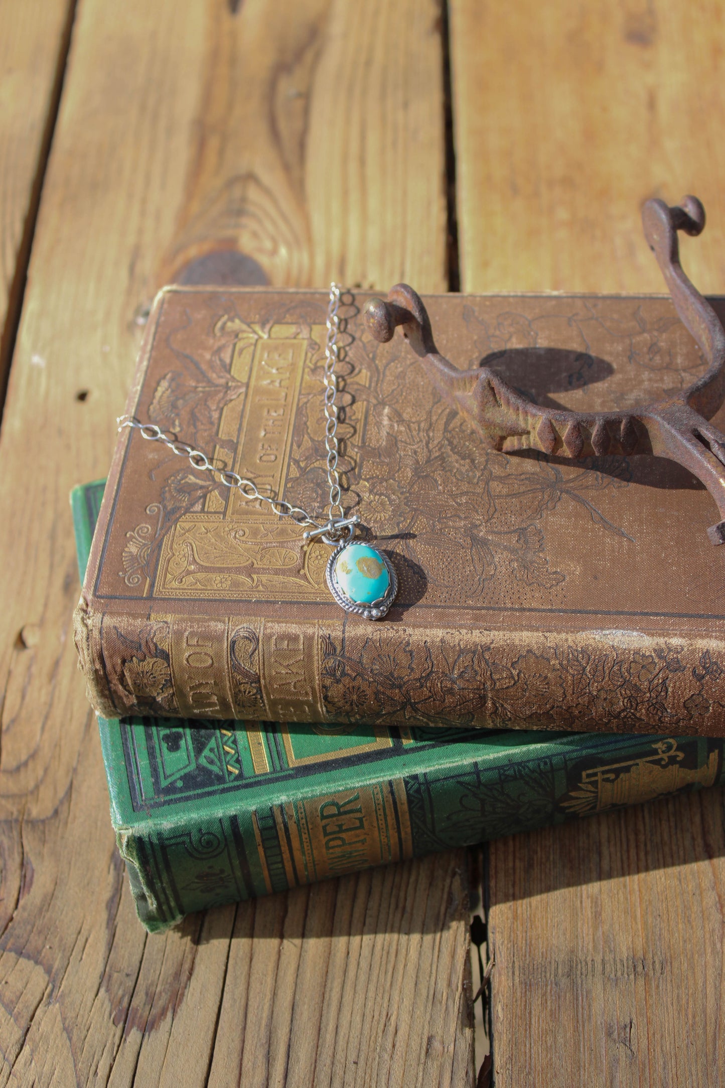 Sonoran Toggle Necklace