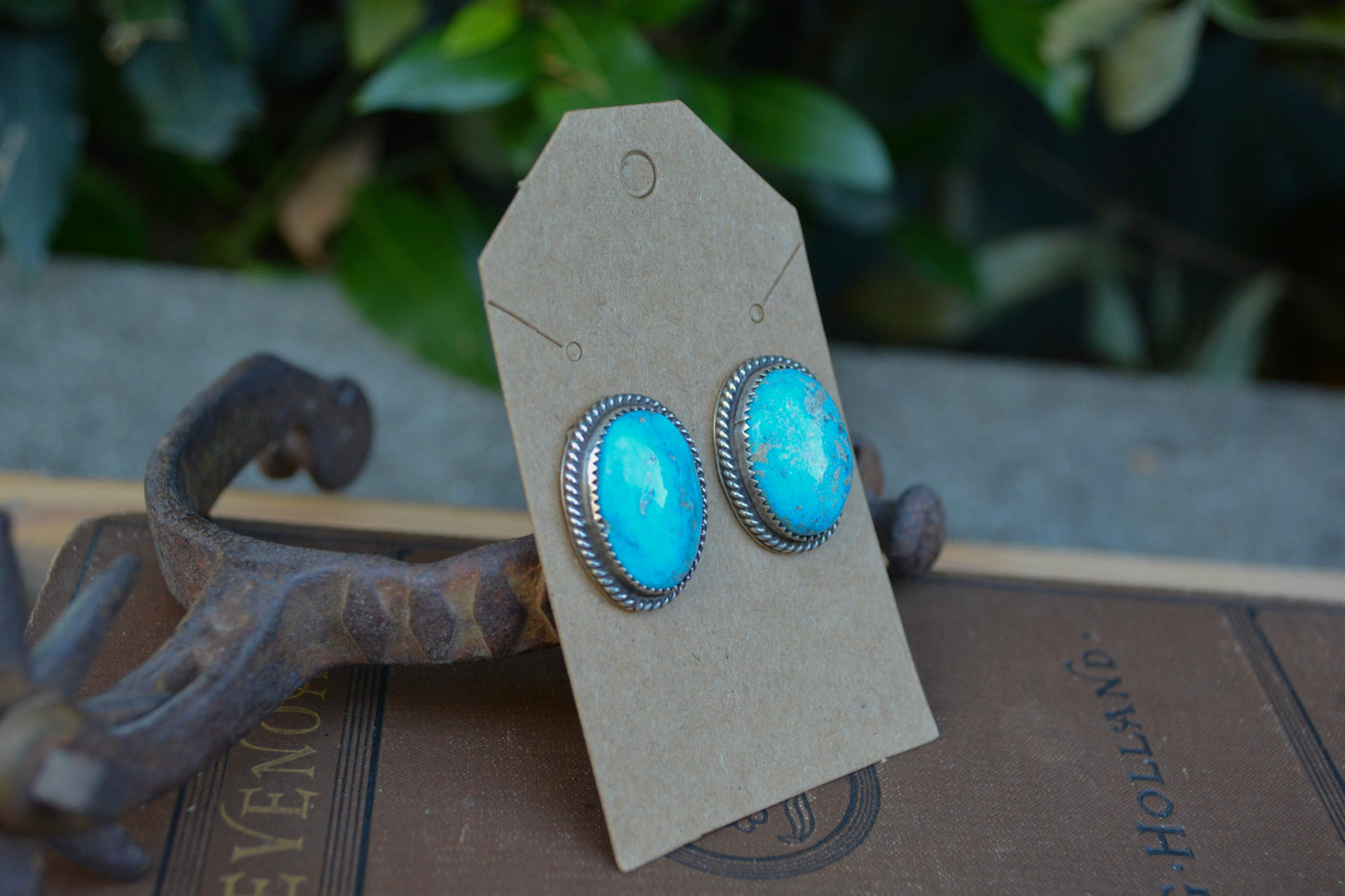 Single Stone Earrings