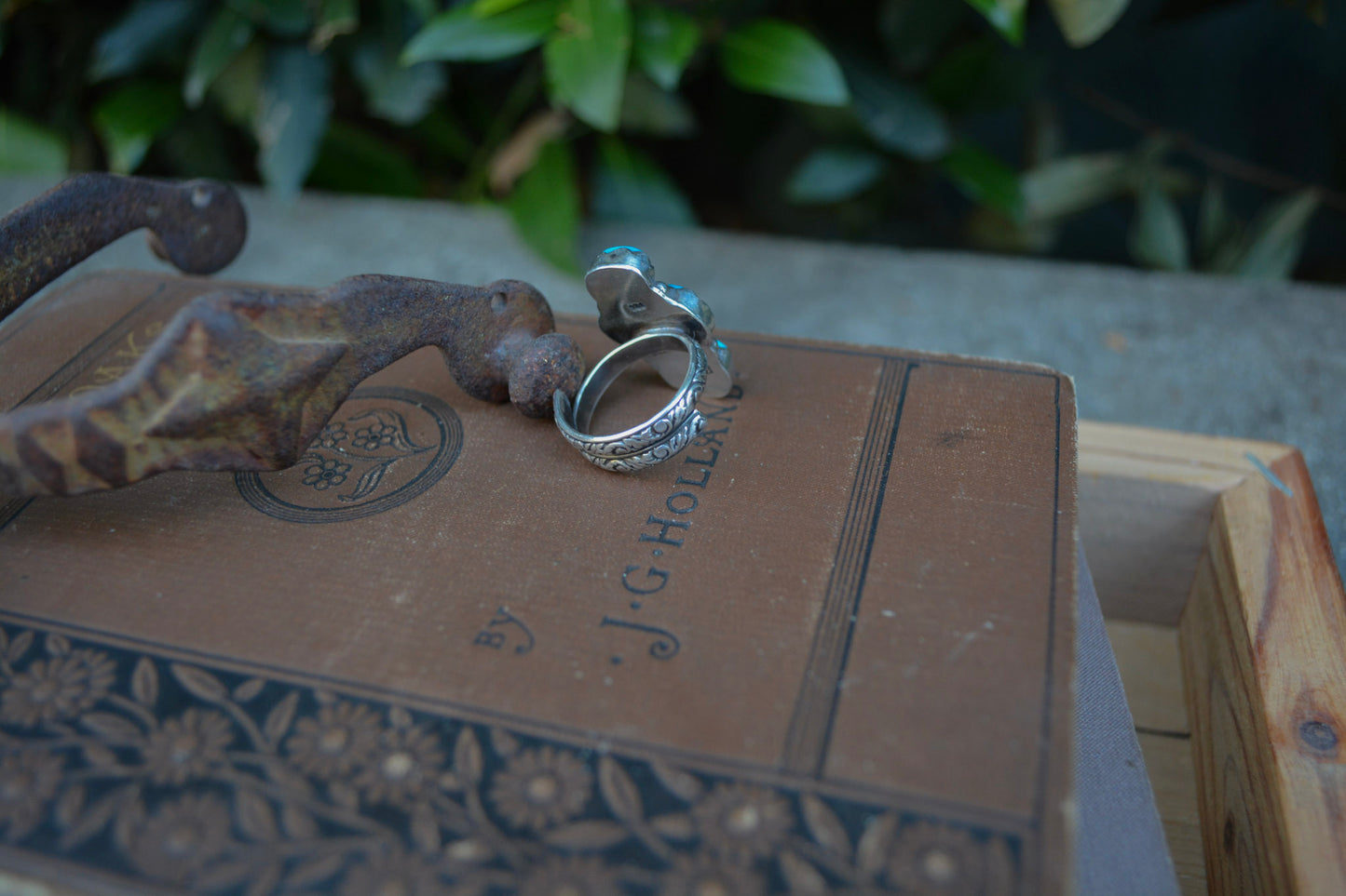 Kingman Ring