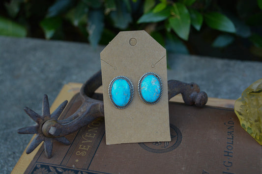 Single Stone Earrings