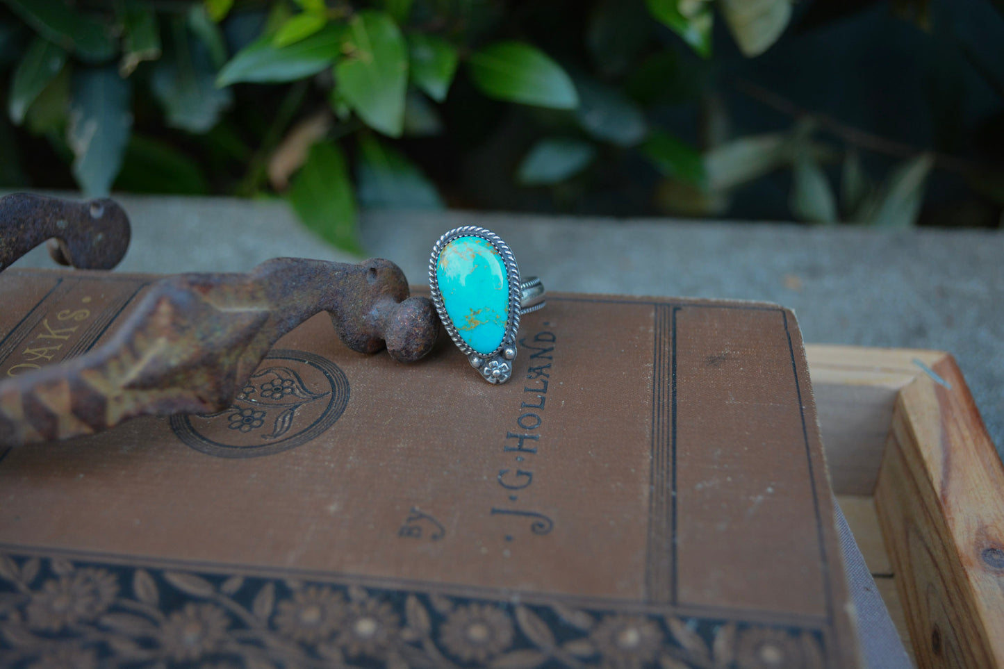 Sonoran Ring