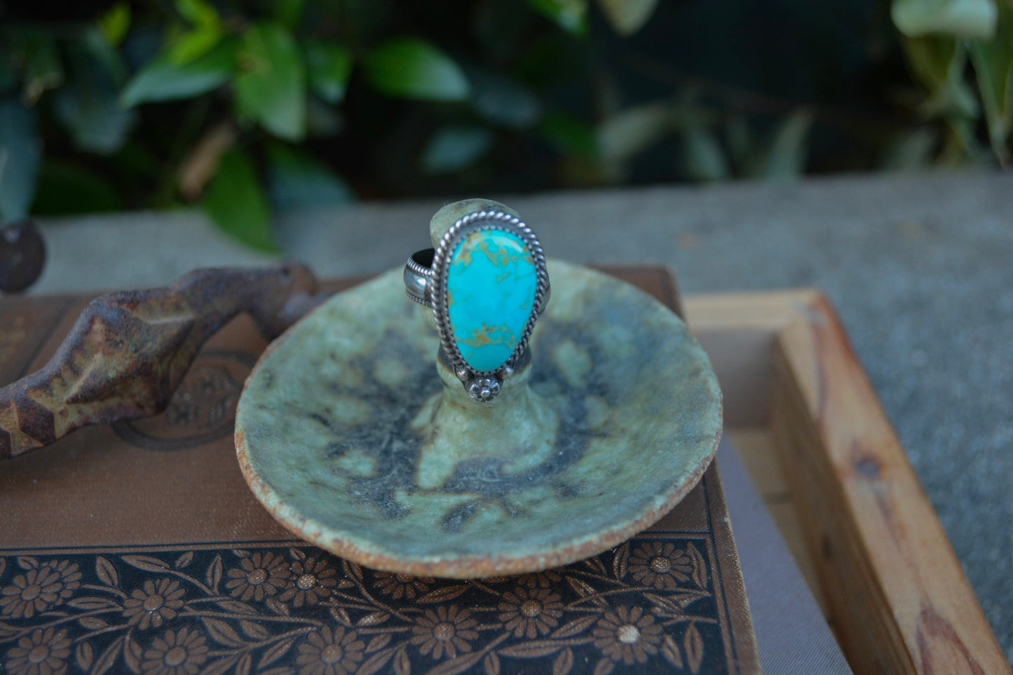 Sonoran Ring