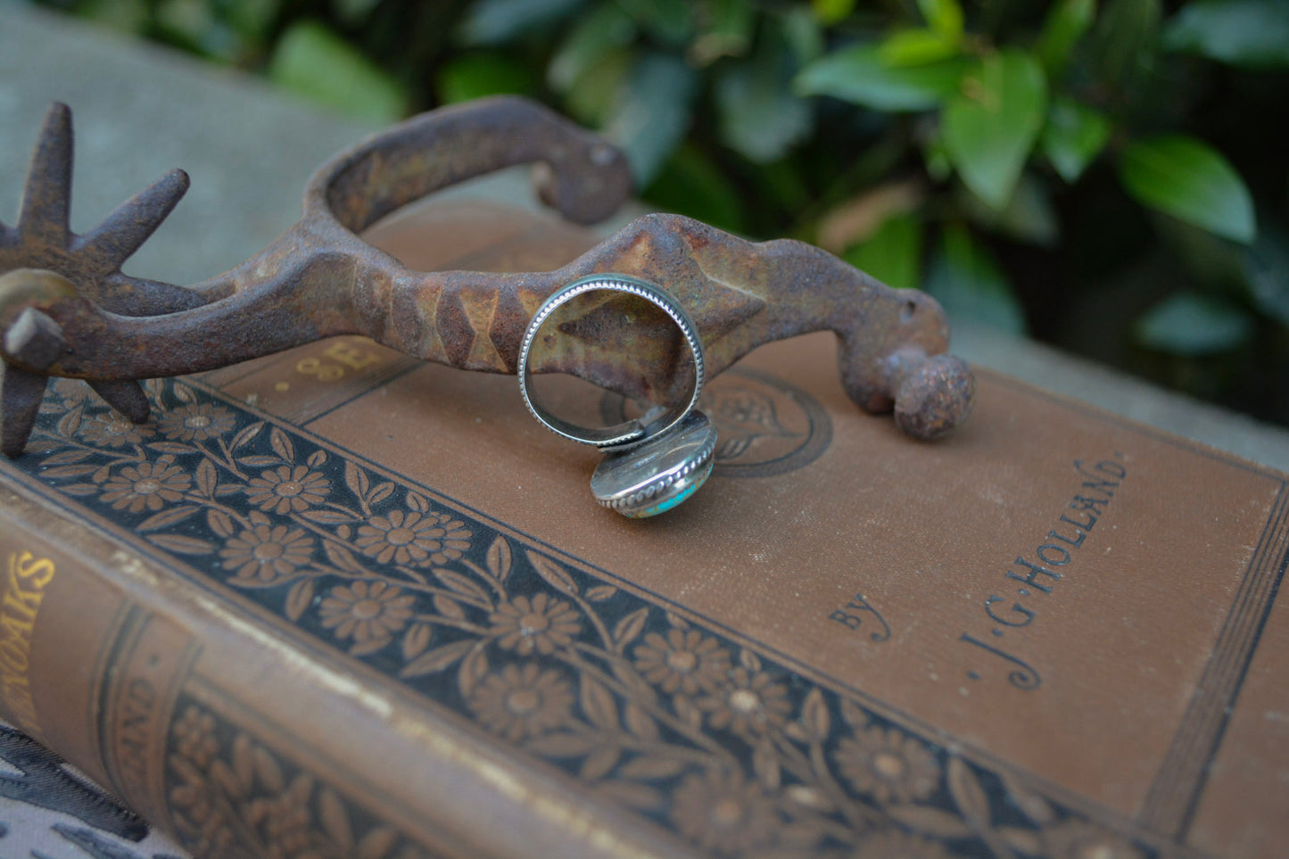 Sonoran Ring