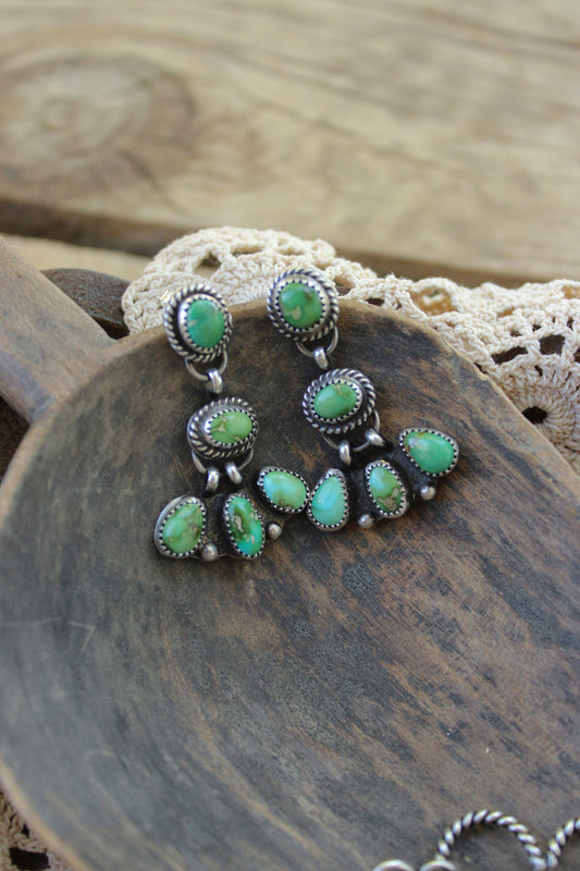 Verde Valley Earrings